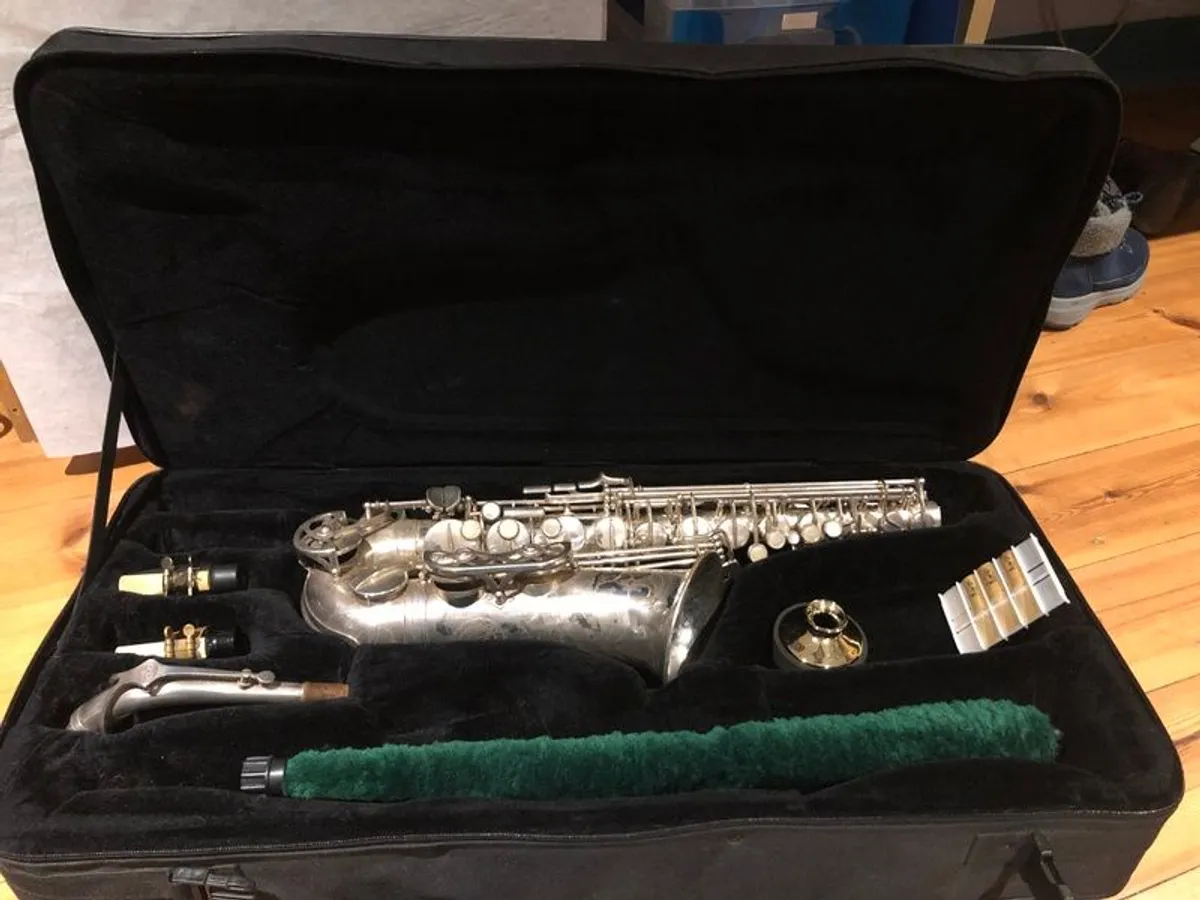 Alto/soprano double saxophone case. - Image 2