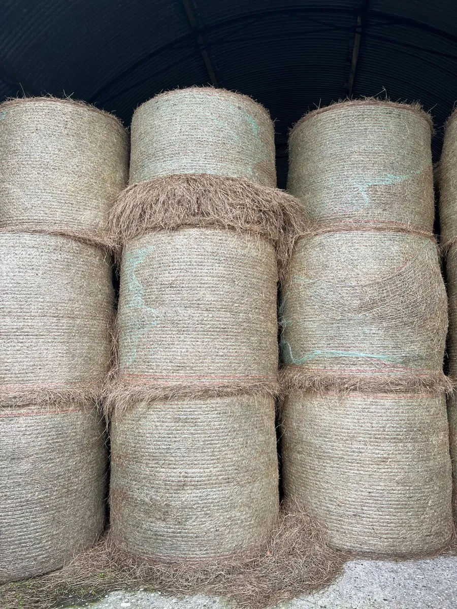 Hay for sale