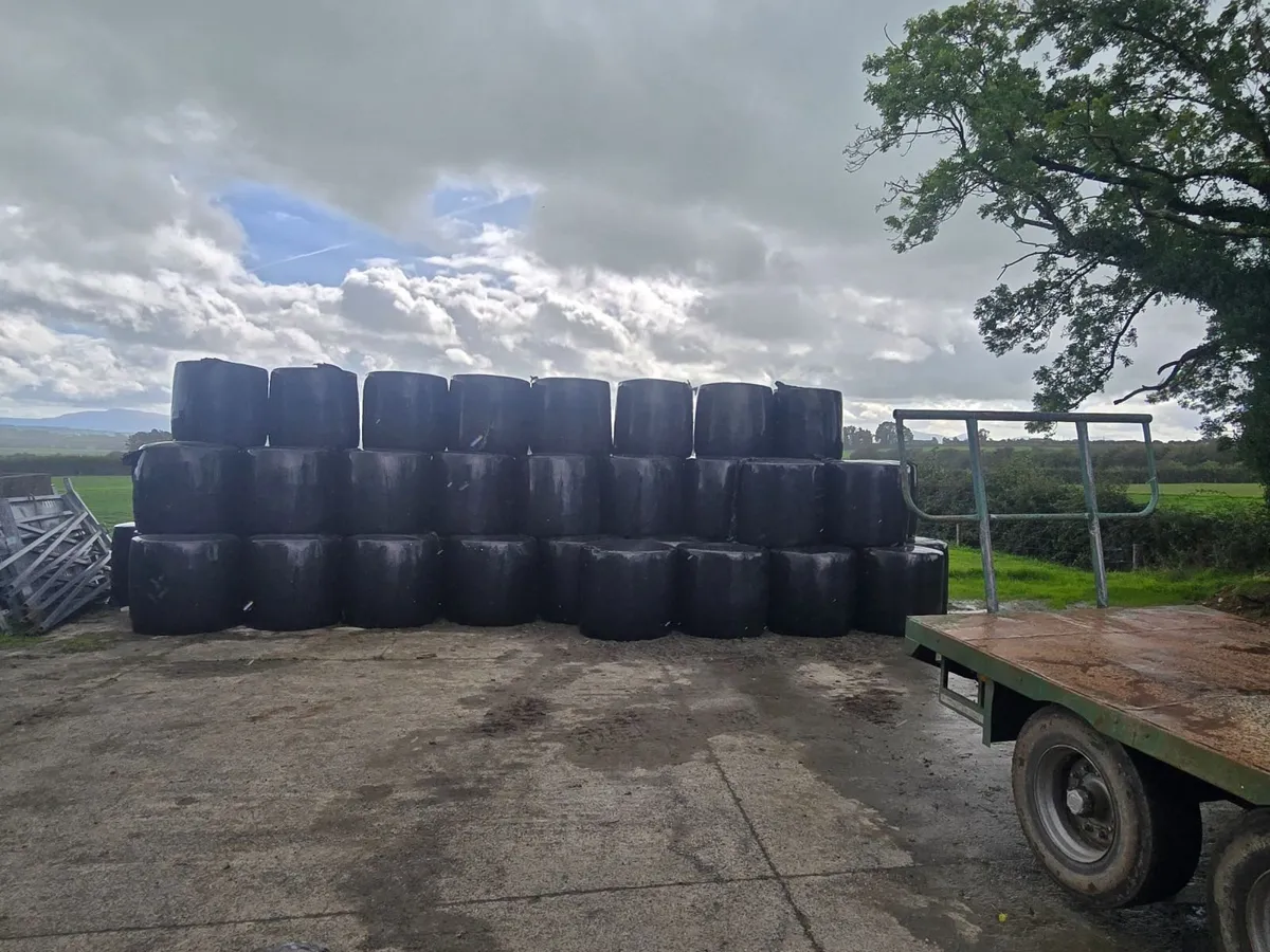Silage - Image 1