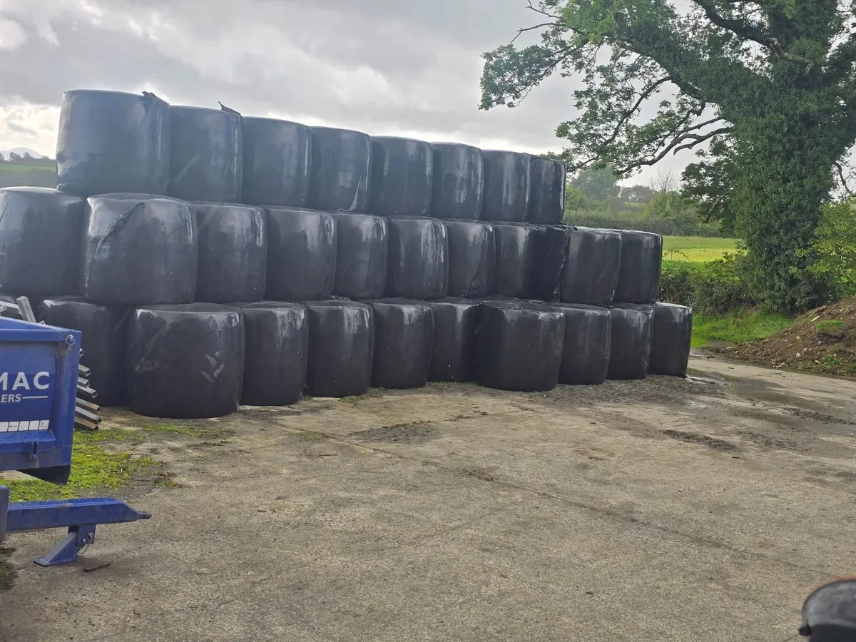 Silage - Image 3