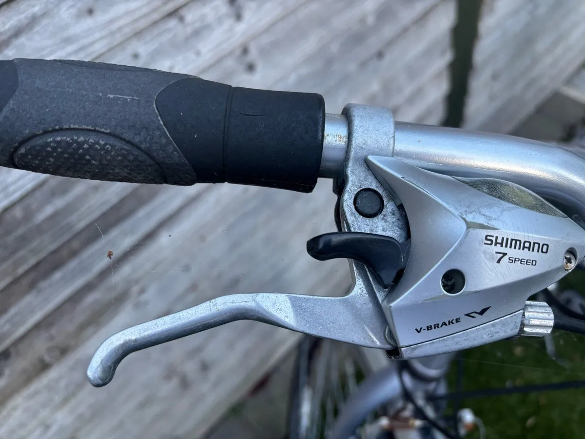 Adult bike - Image 2