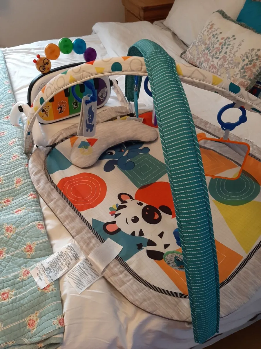Baby einstein playmat - Image 1