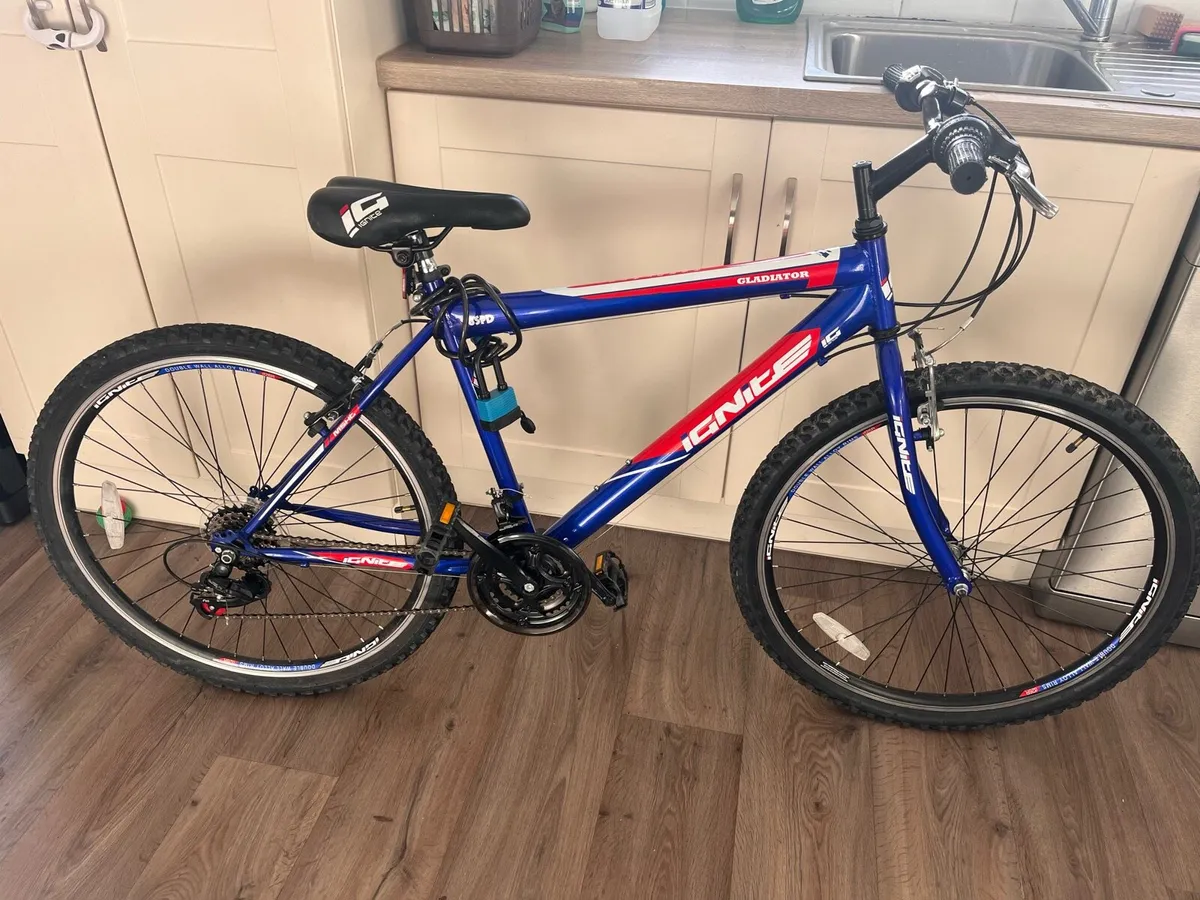 Bike - Image 1