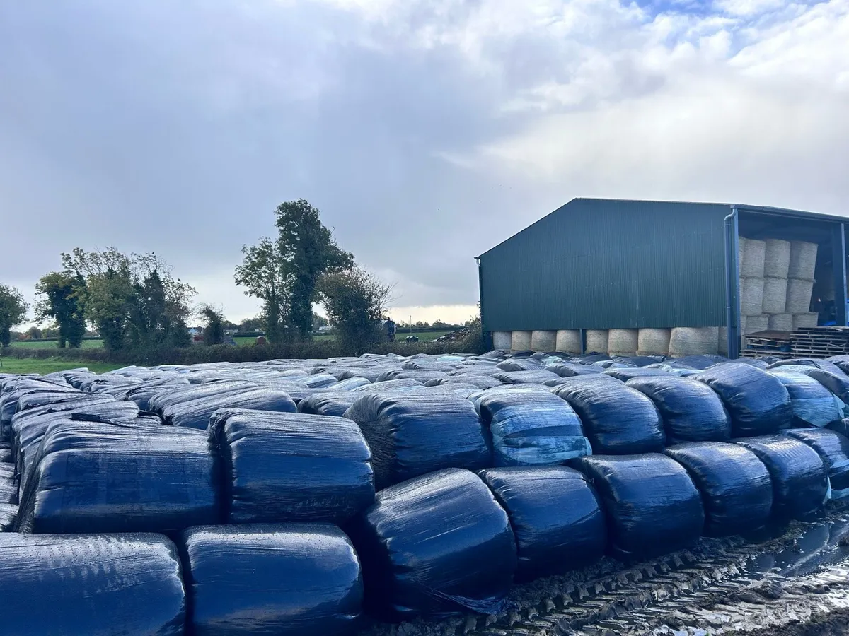 Silage for sale - Image 2