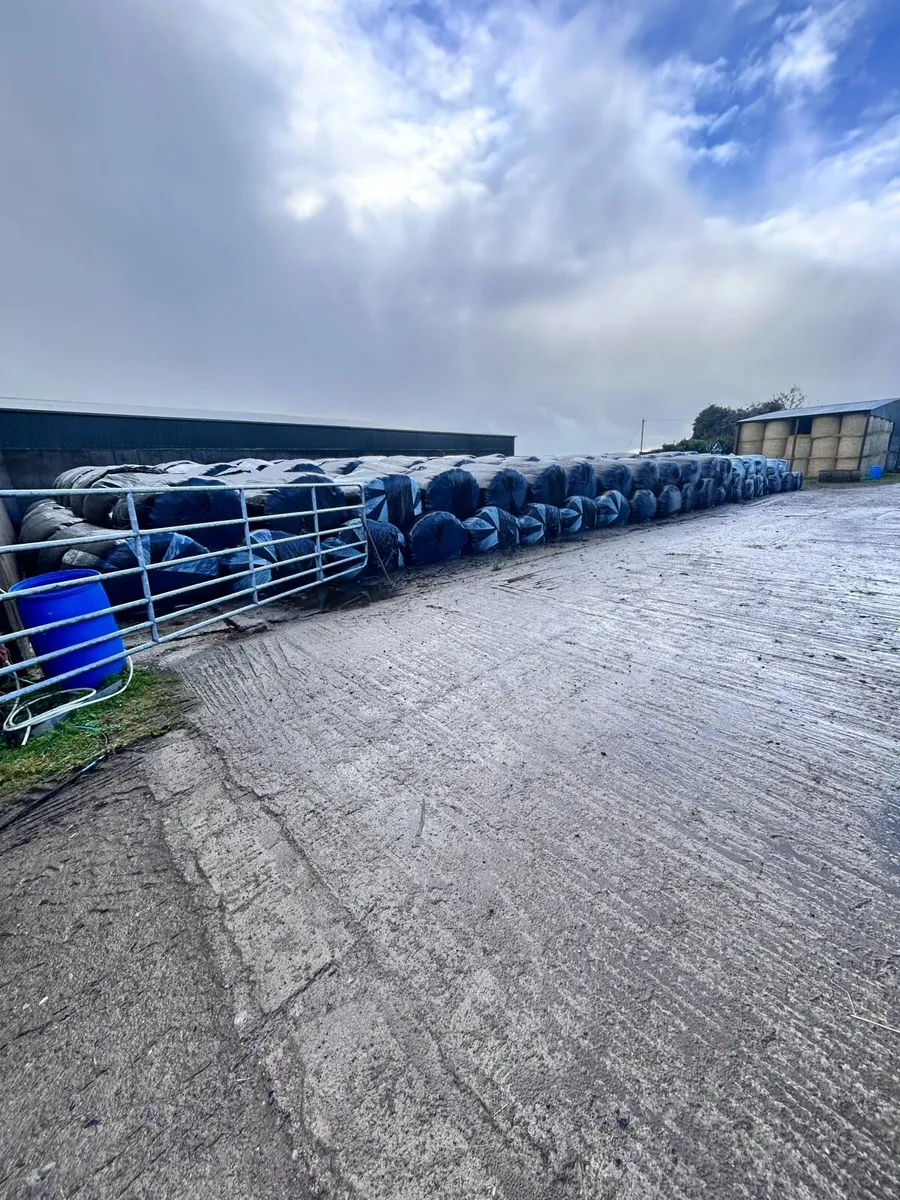 Silage for sale - Image 1