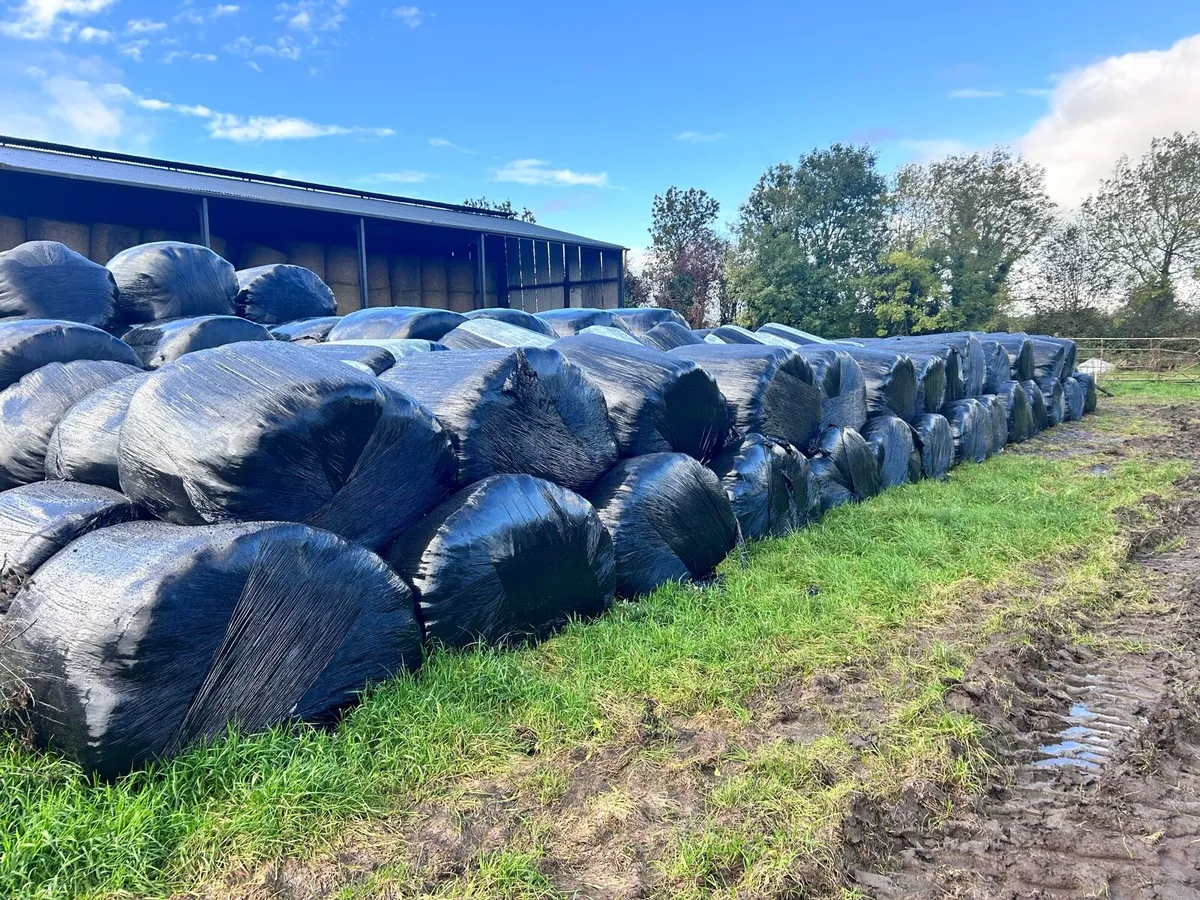 Silage for sale - Image 3