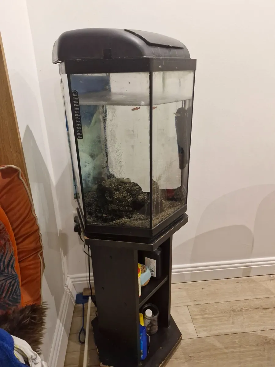 Fish tank, filter and stand - Image 1