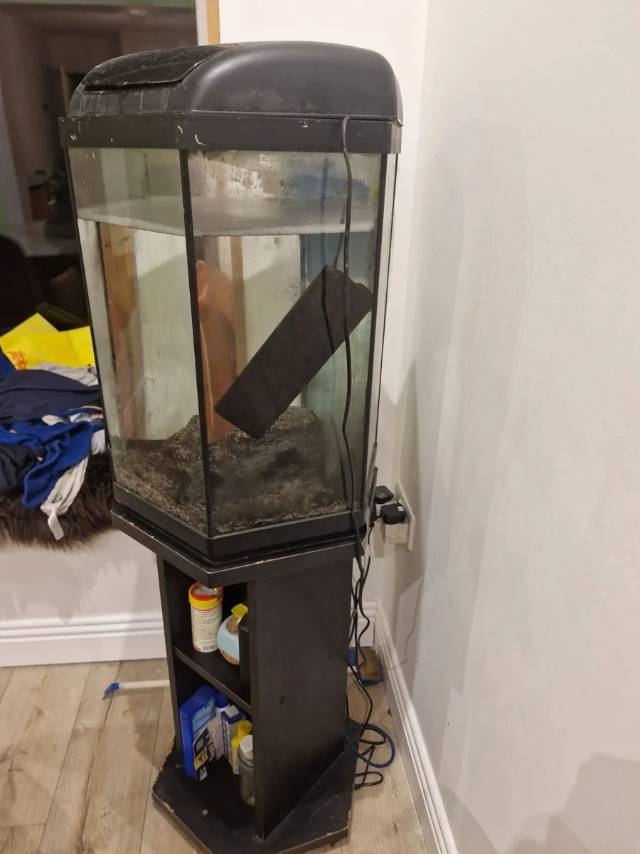 Fish tank, filter and stand - Image 2