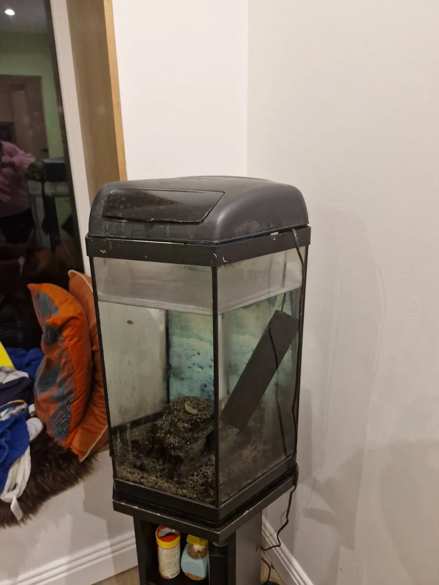 Fish tank, filter and stand - Image 3