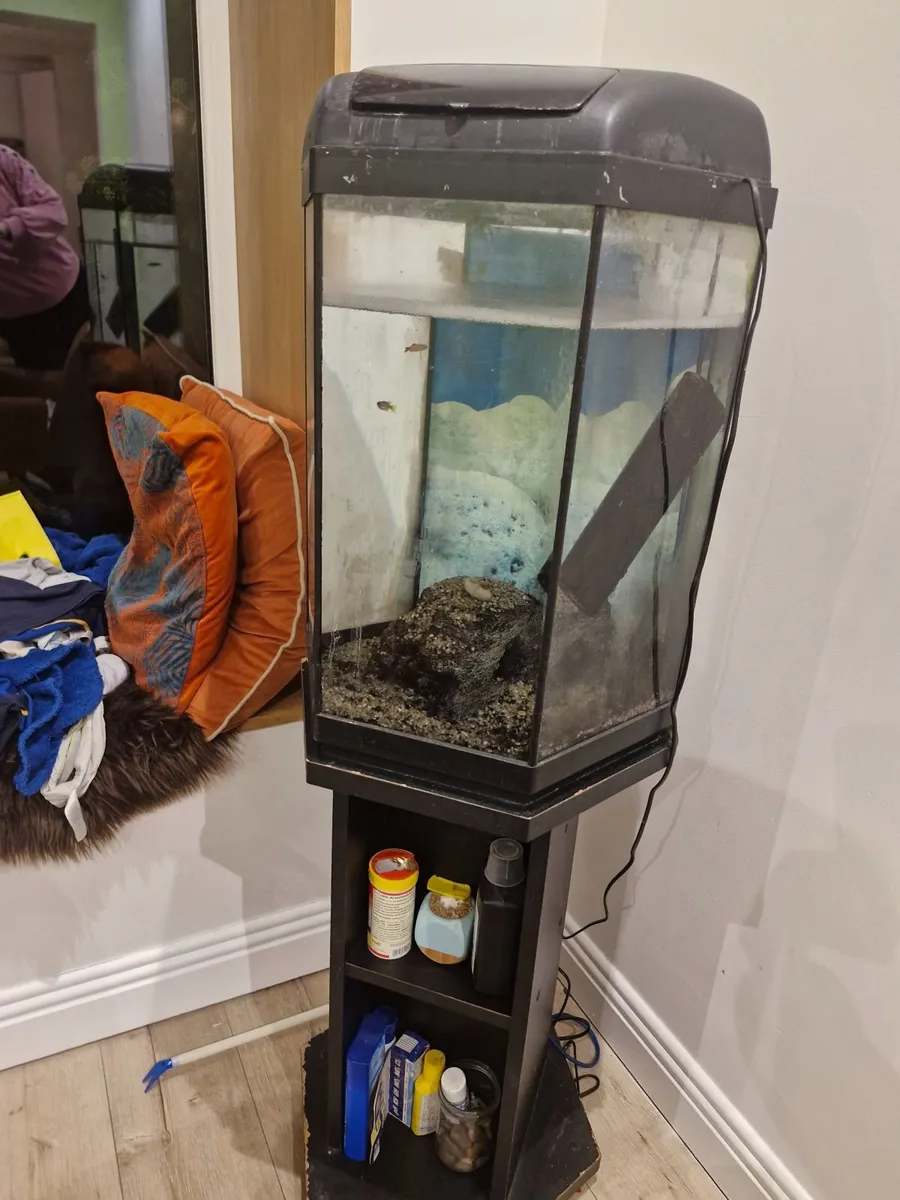 Fish tank, filter and stand - Image 4