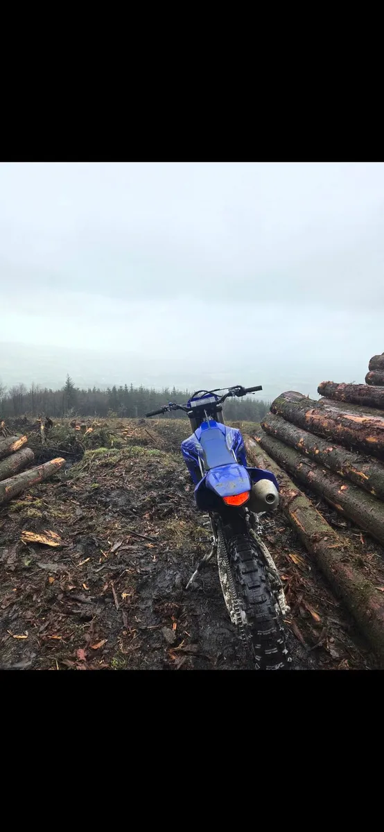 Yamaha WR450r - Image 3