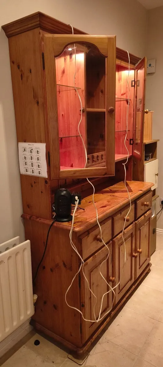 Glass Cabinet - Image 4