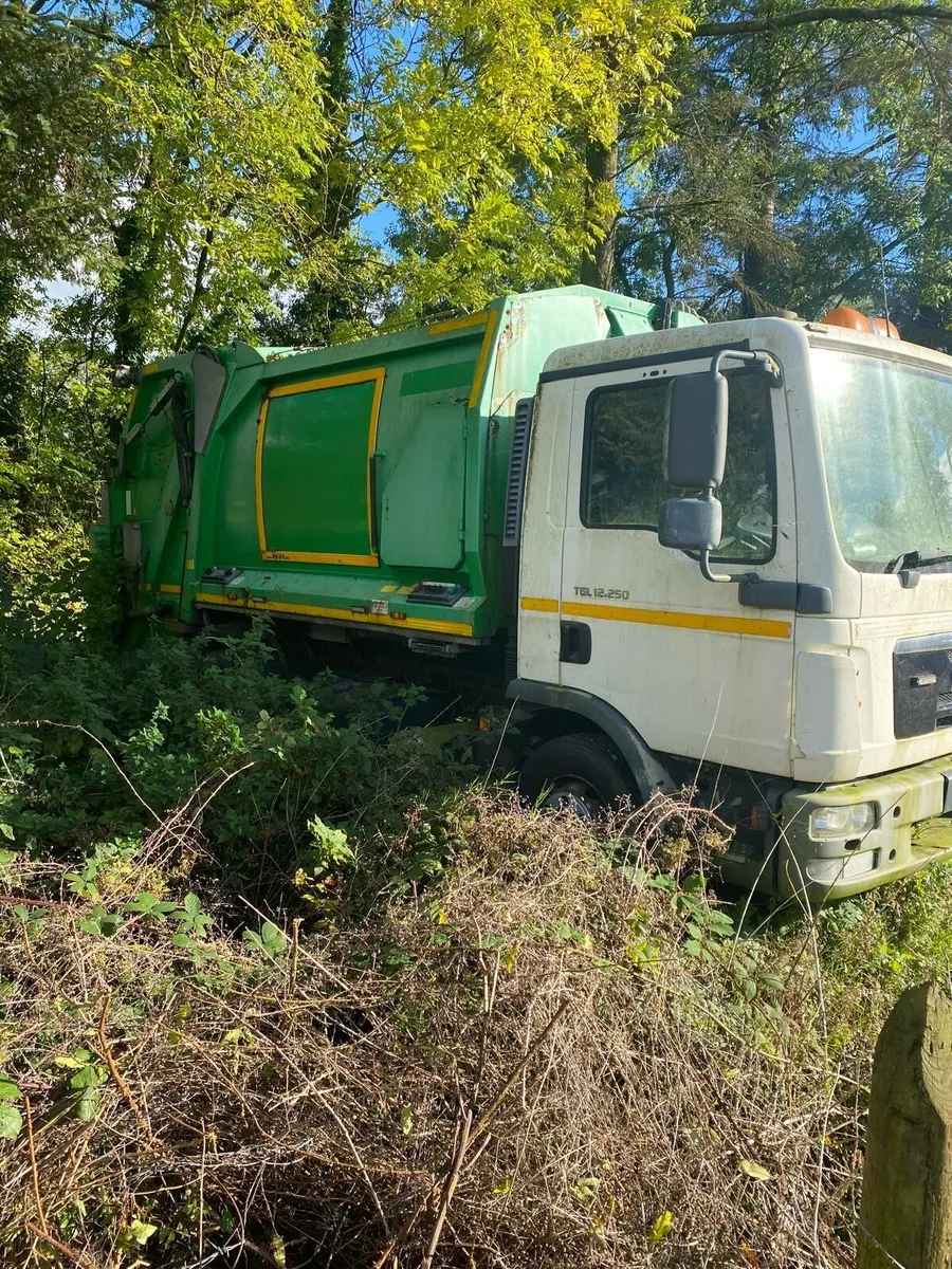 Truck for sale - Image 2