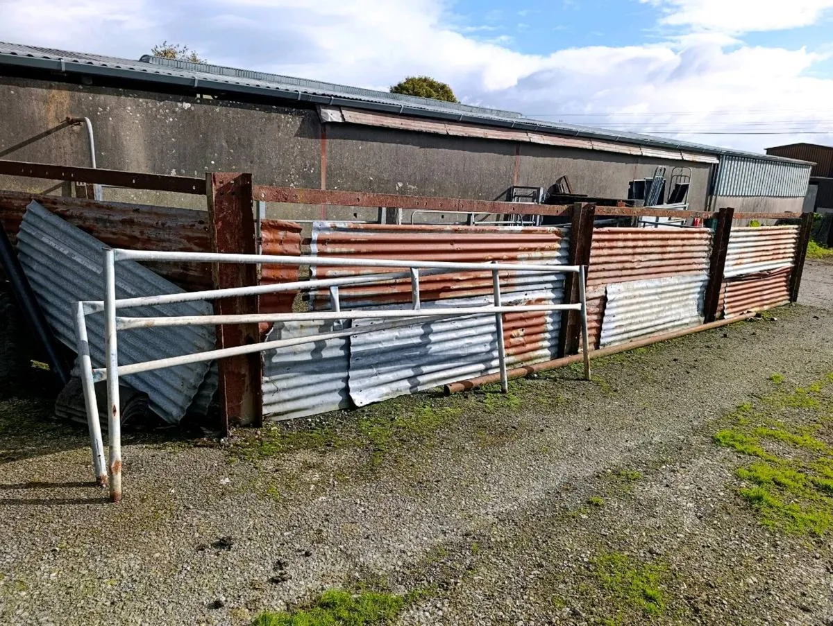 Sheep Trough & Feed Barriers - Image 4
