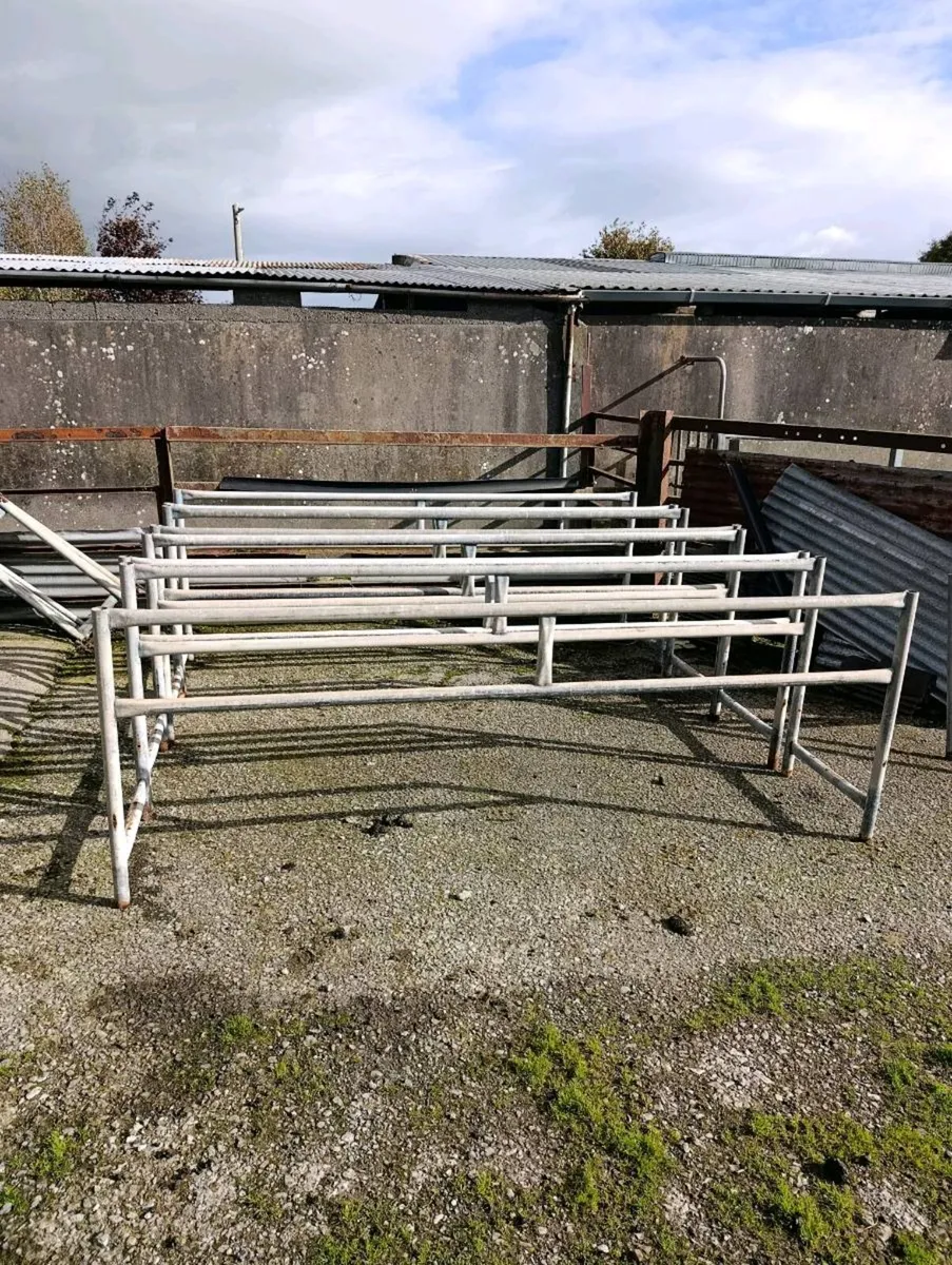 Sheep Trough & Feed Barriers - Image 2
