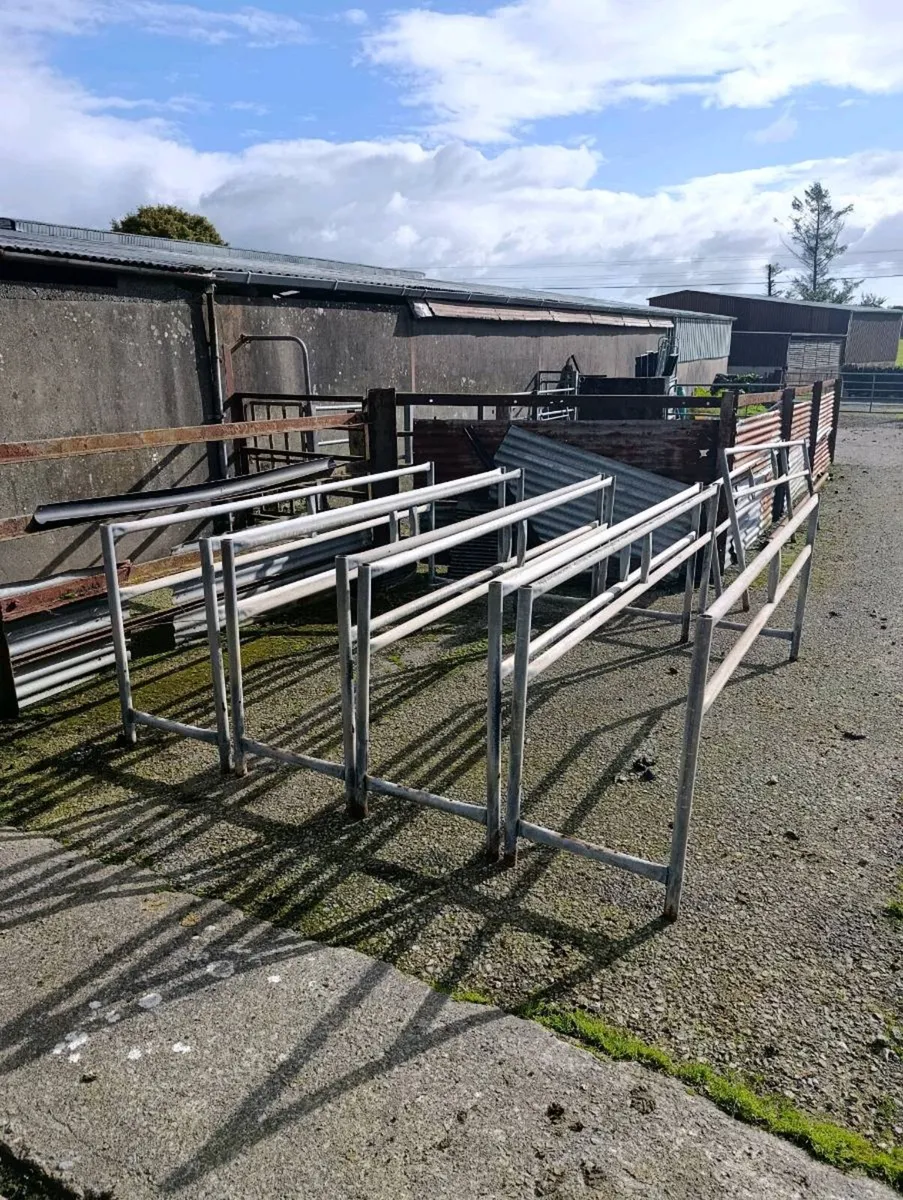 Sheep Trough & Feed Barriers - Image 1