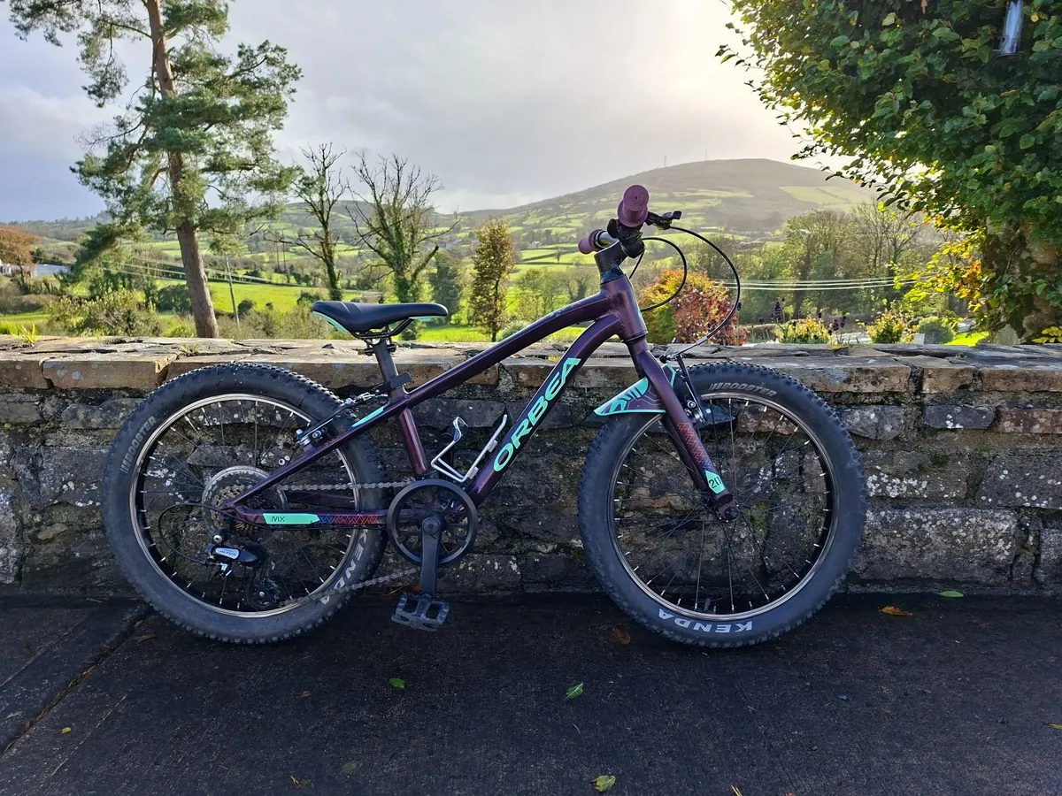 Orbea Mx 20" dirt boys mtb - Image 2