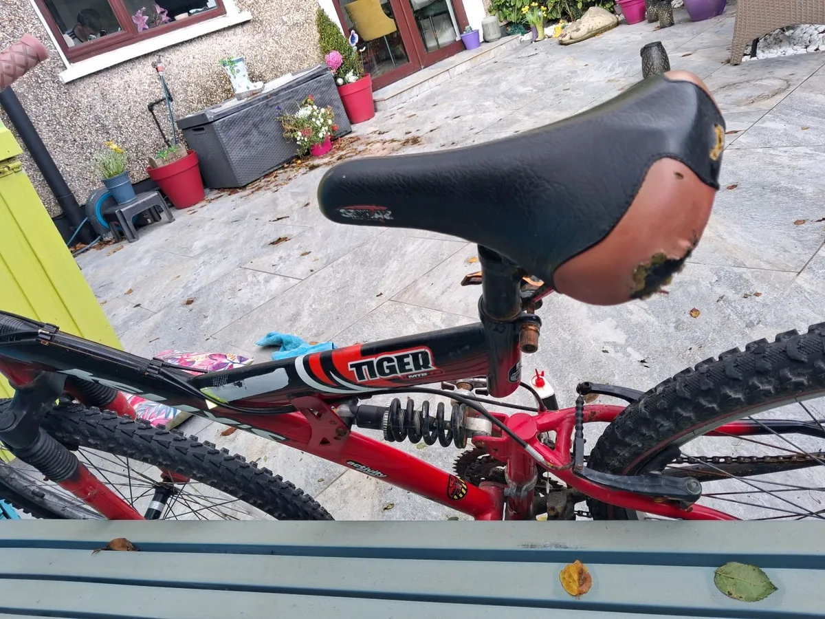 Bike - Tiger 26" teenager / young adult - Image 3