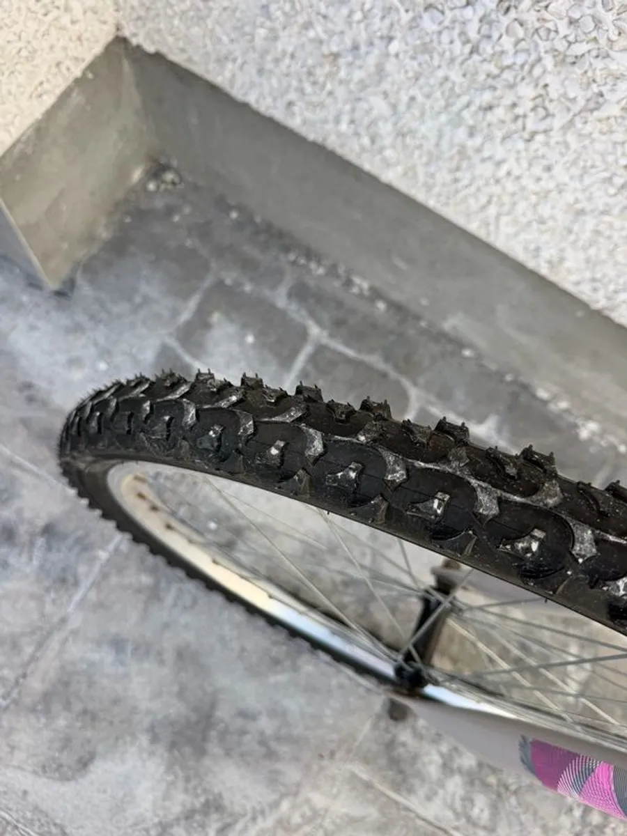 apollo Twilight mountain bike - Image 3