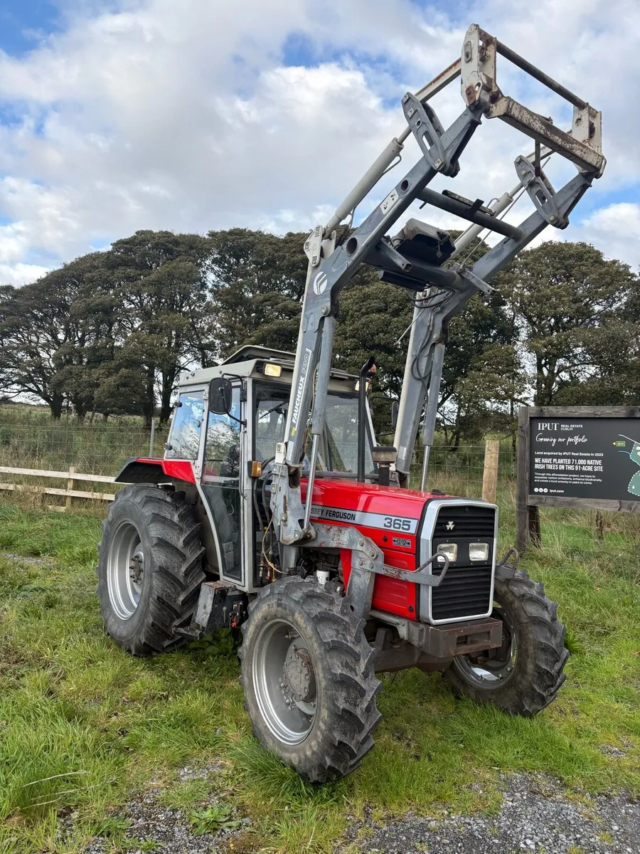 Massey Ferguson 365 - Image 1