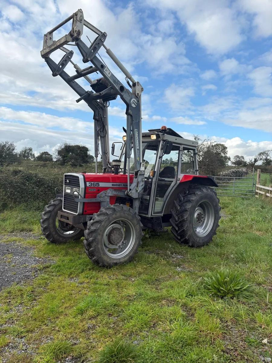 Massey Ferguson 365 - Image 2