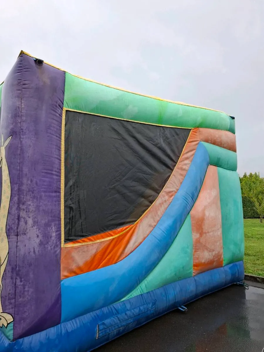 Bouncy Castle - Image 4