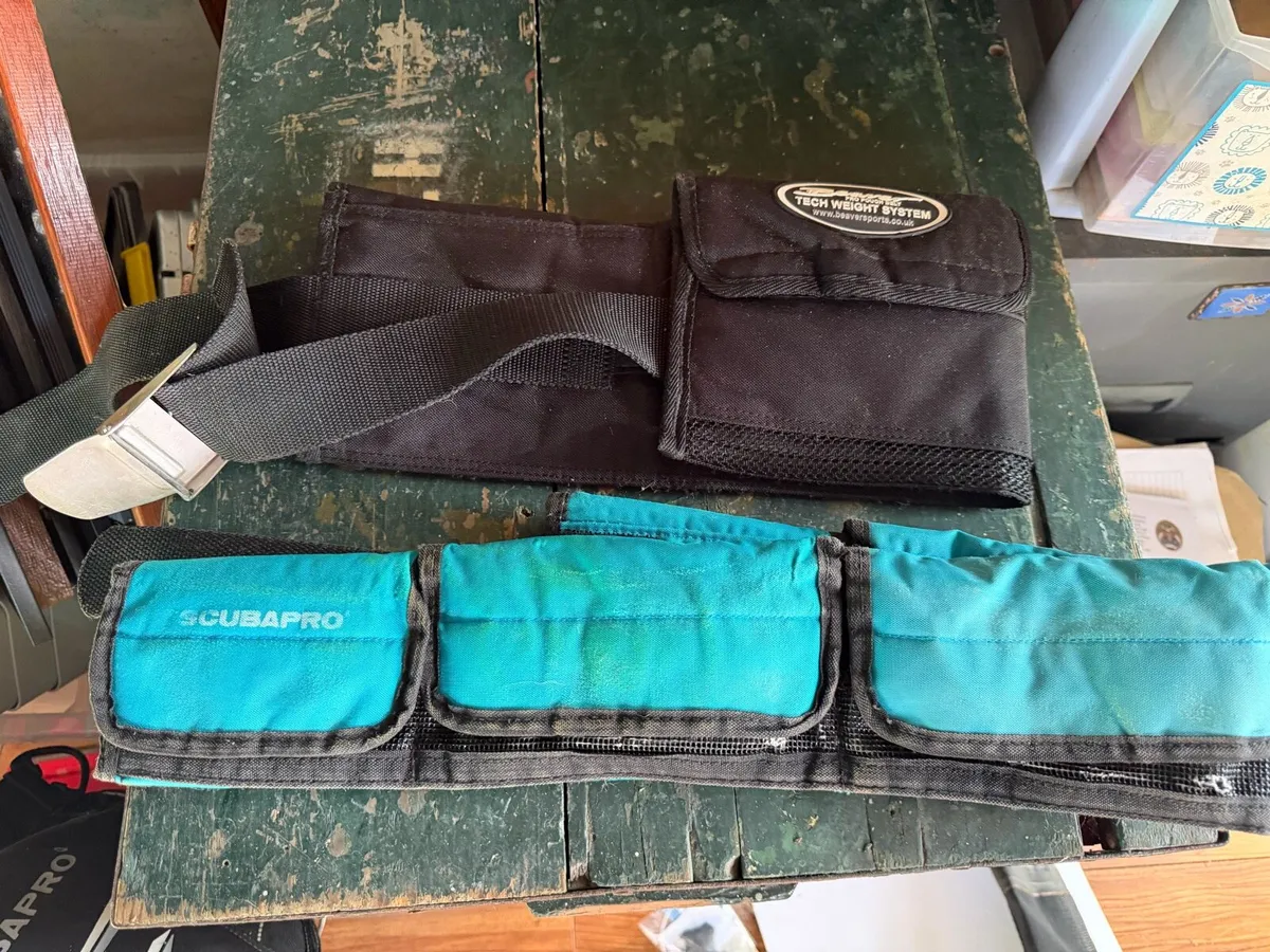 Scuba diving passed weight belts - Image 3