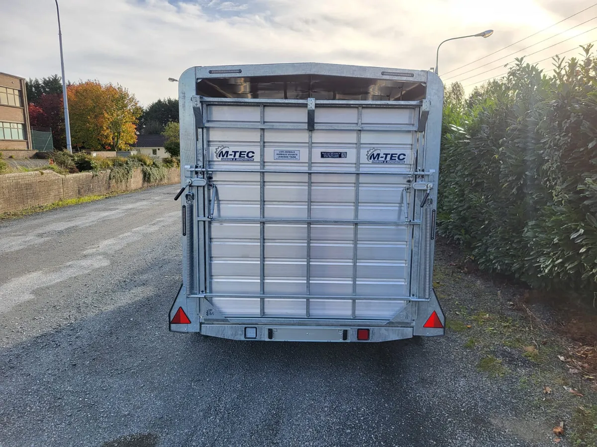 M-Tec 14ft x 6ft Tri Axle Trailer - Image 4