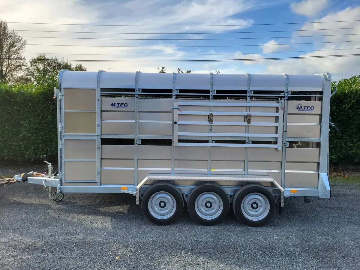 M-Tec 14ft x 6ft Tri Axle Trailer - Image 3