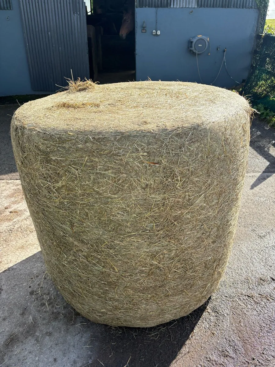2026 Round Bales of Haylage - Image 1