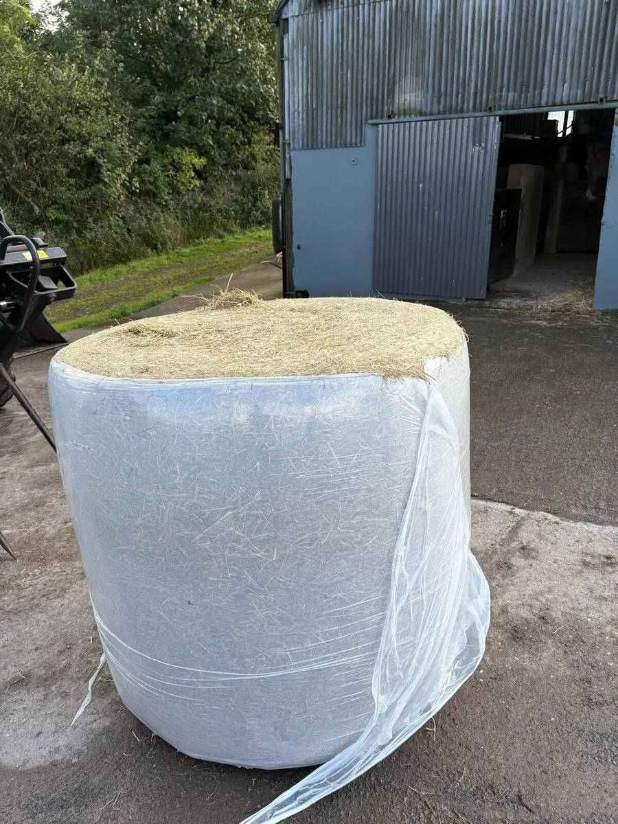2026 Round Bales of Haylage - Image 2