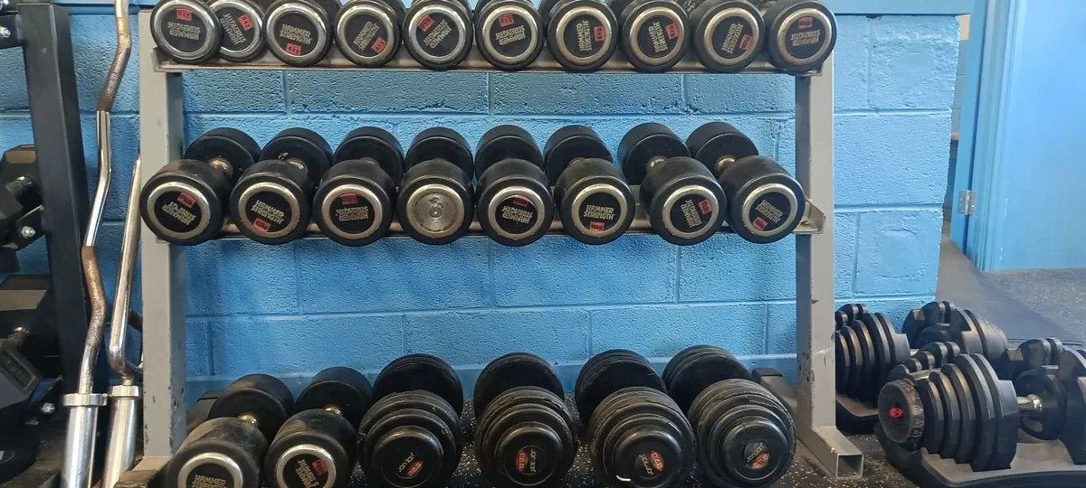 Dumbbells and rack - Image 1