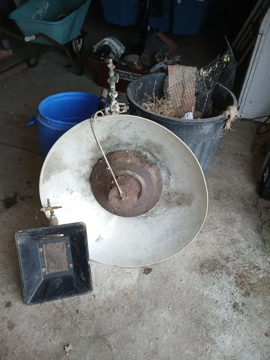 Brooder - Image 1