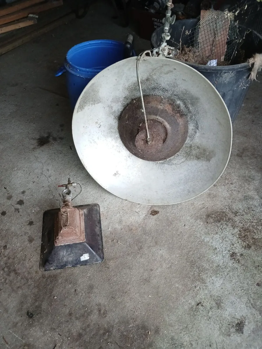 Brooder - Image 2