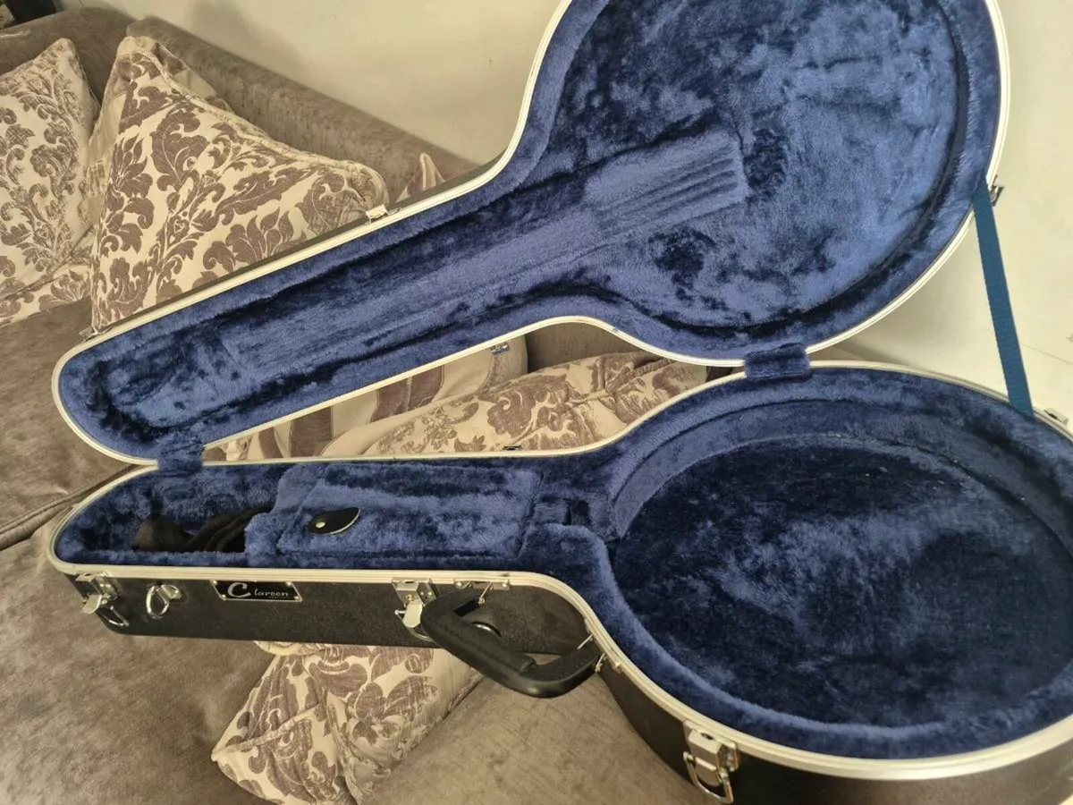 Banjo case, Clareen hardcase - Image 4