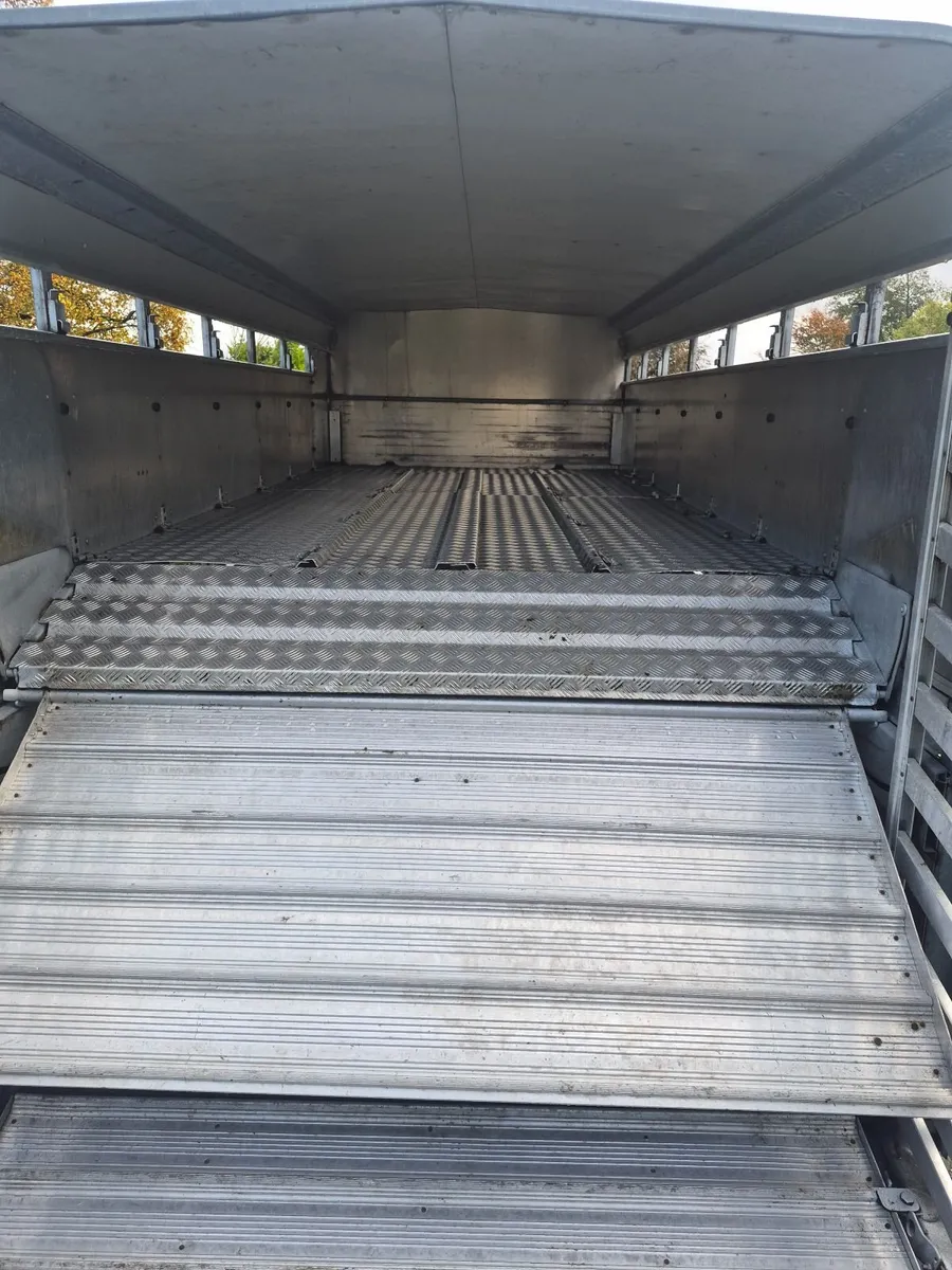Sheep trailer  livestock  trailer - Image 4