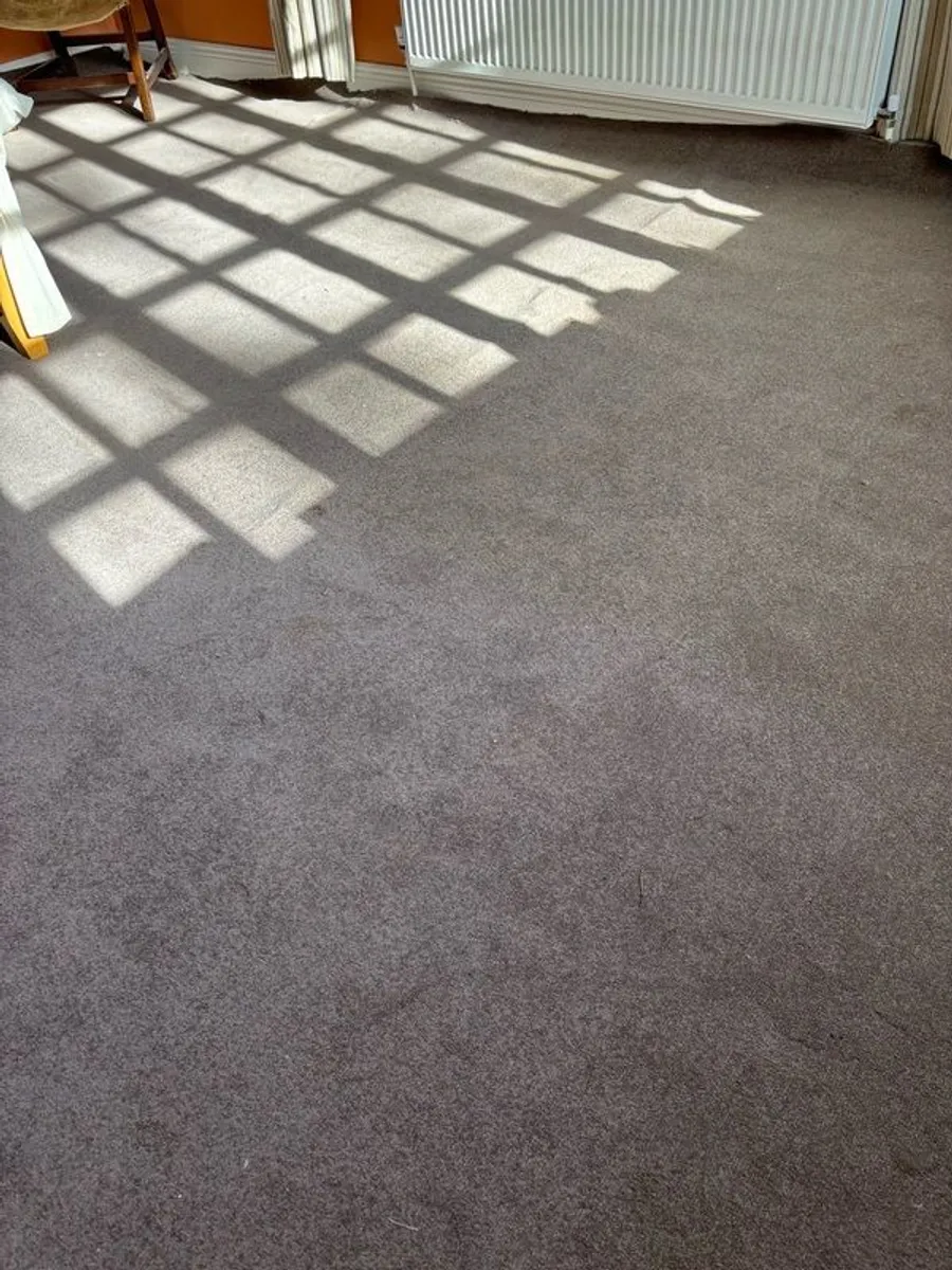 carpet - Image 1