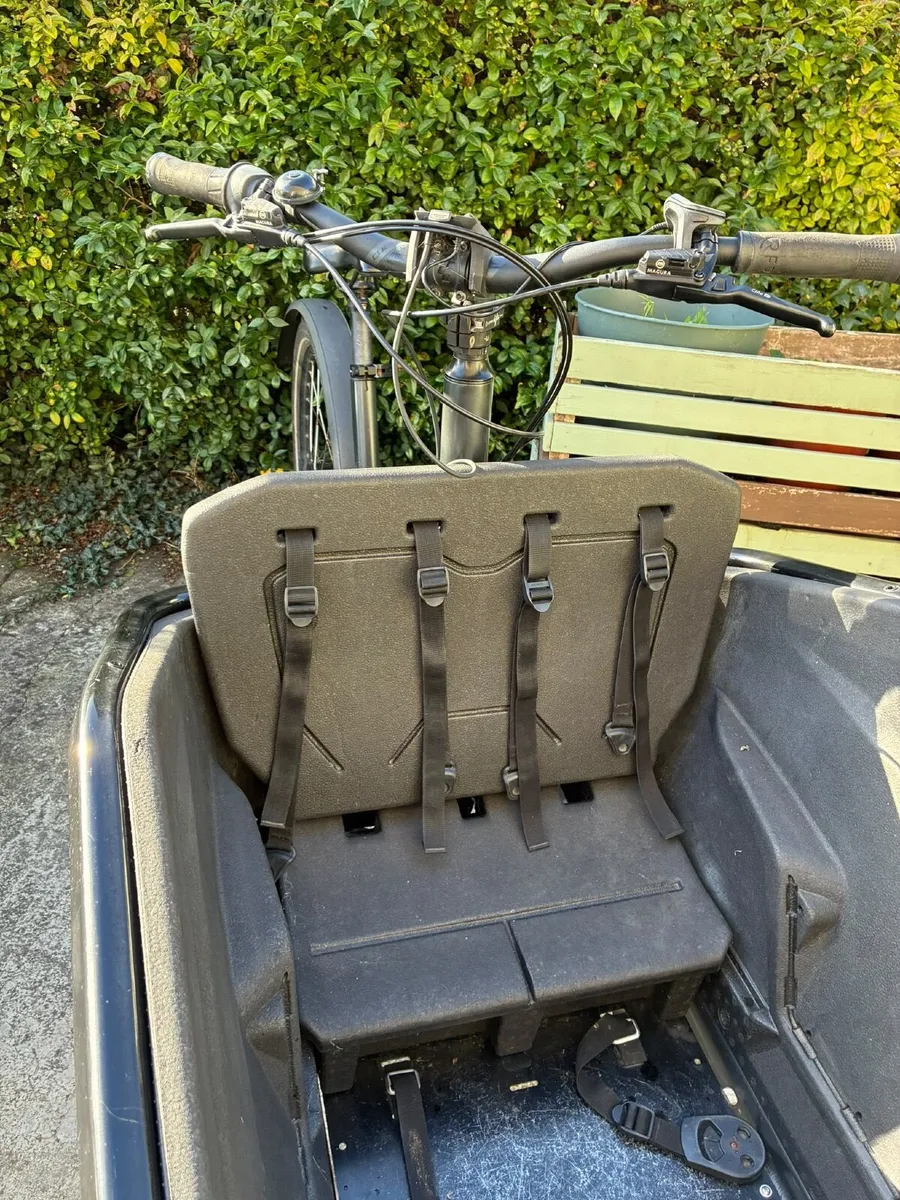 Cube Electric Cargo Bike - Image 2