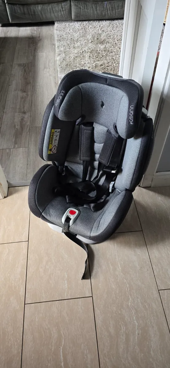 Oscan Car seat - Image 2
