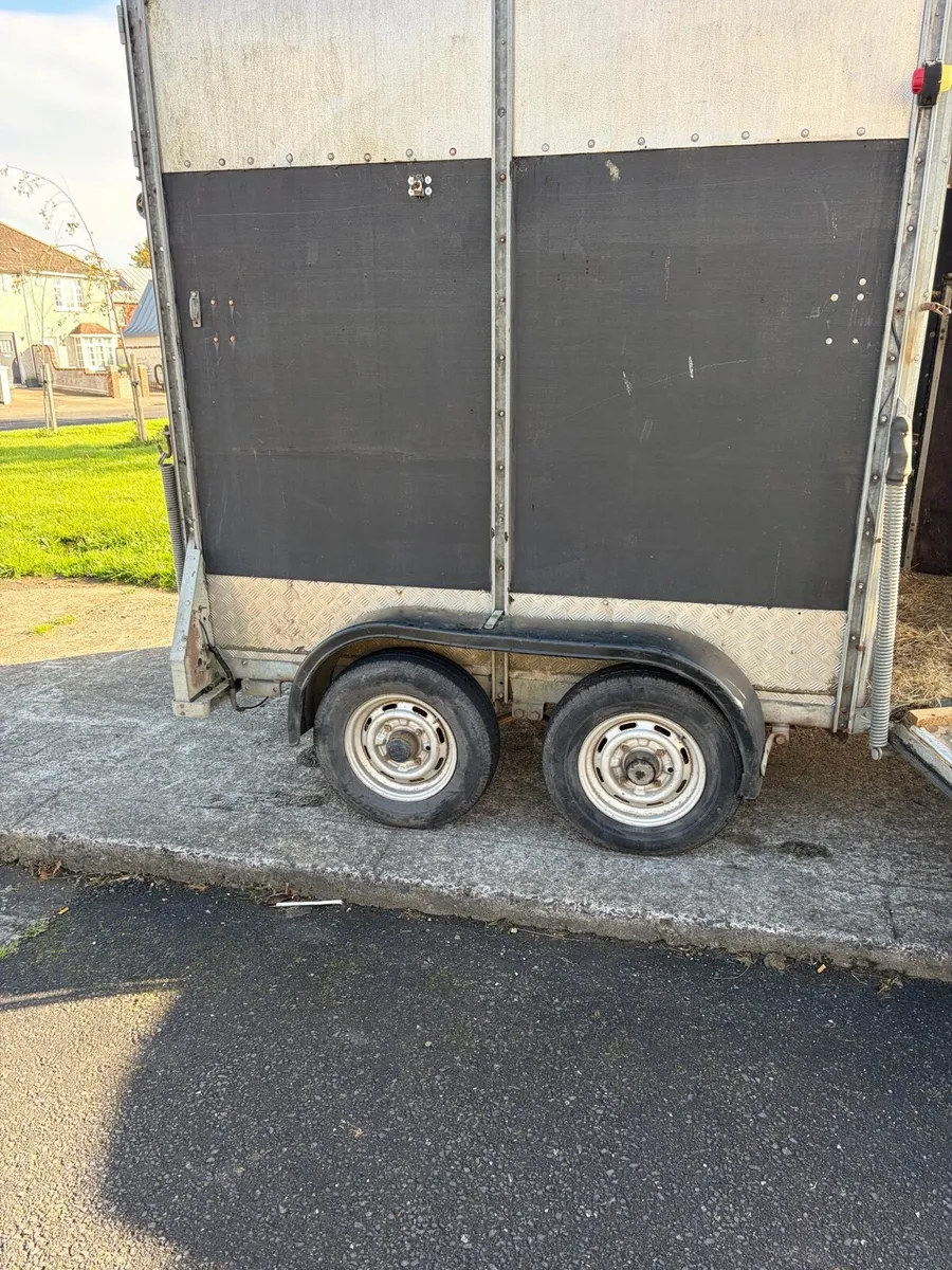 505 horse box - Image 3