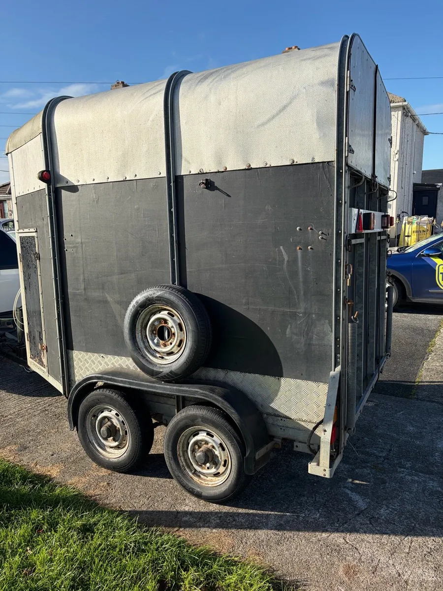 505 horse box - Image 2