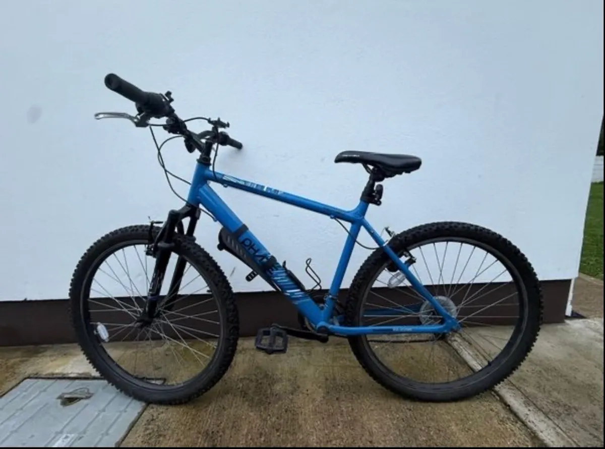 Adult Bike - Image 1