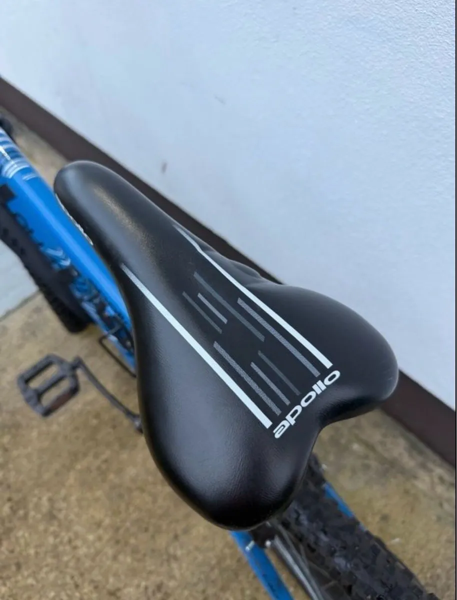 Adult Bike - Image 2