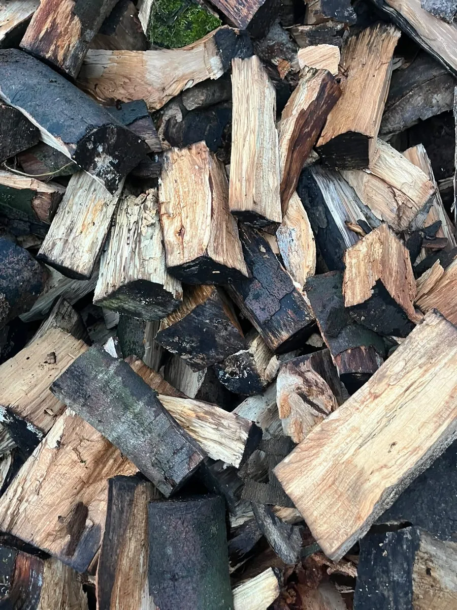 Timber - Image 1
