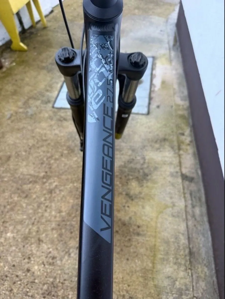 Carrera Adult Bike - Image 2