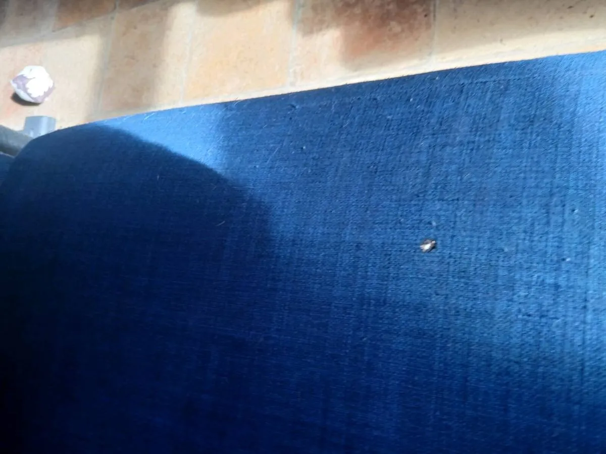 Blue Corner Couch/Sleeping Function - Image 4