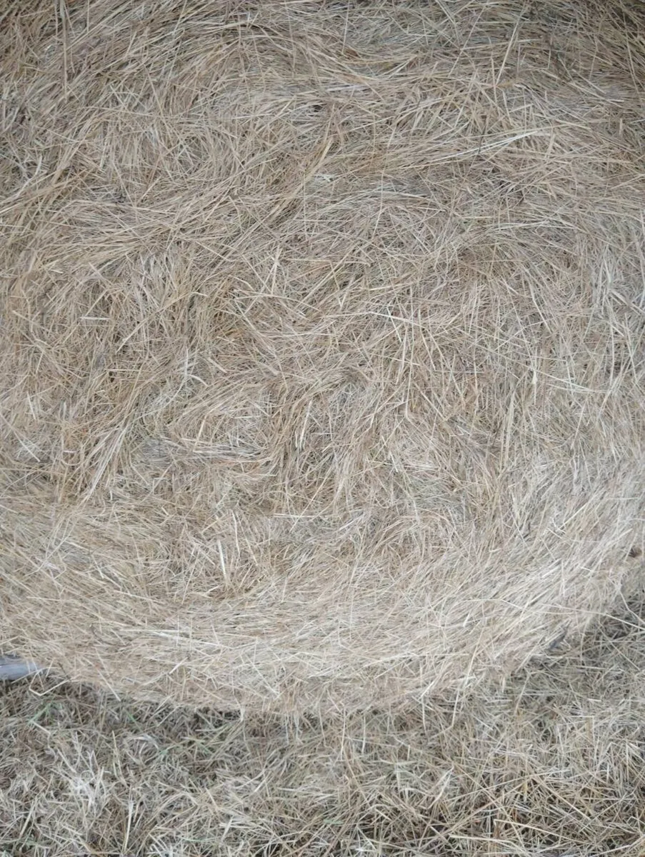 Organic Hay - Image 1