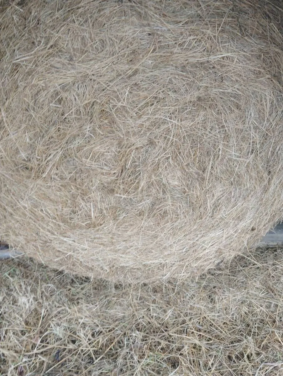 Organic Hay - Image 2