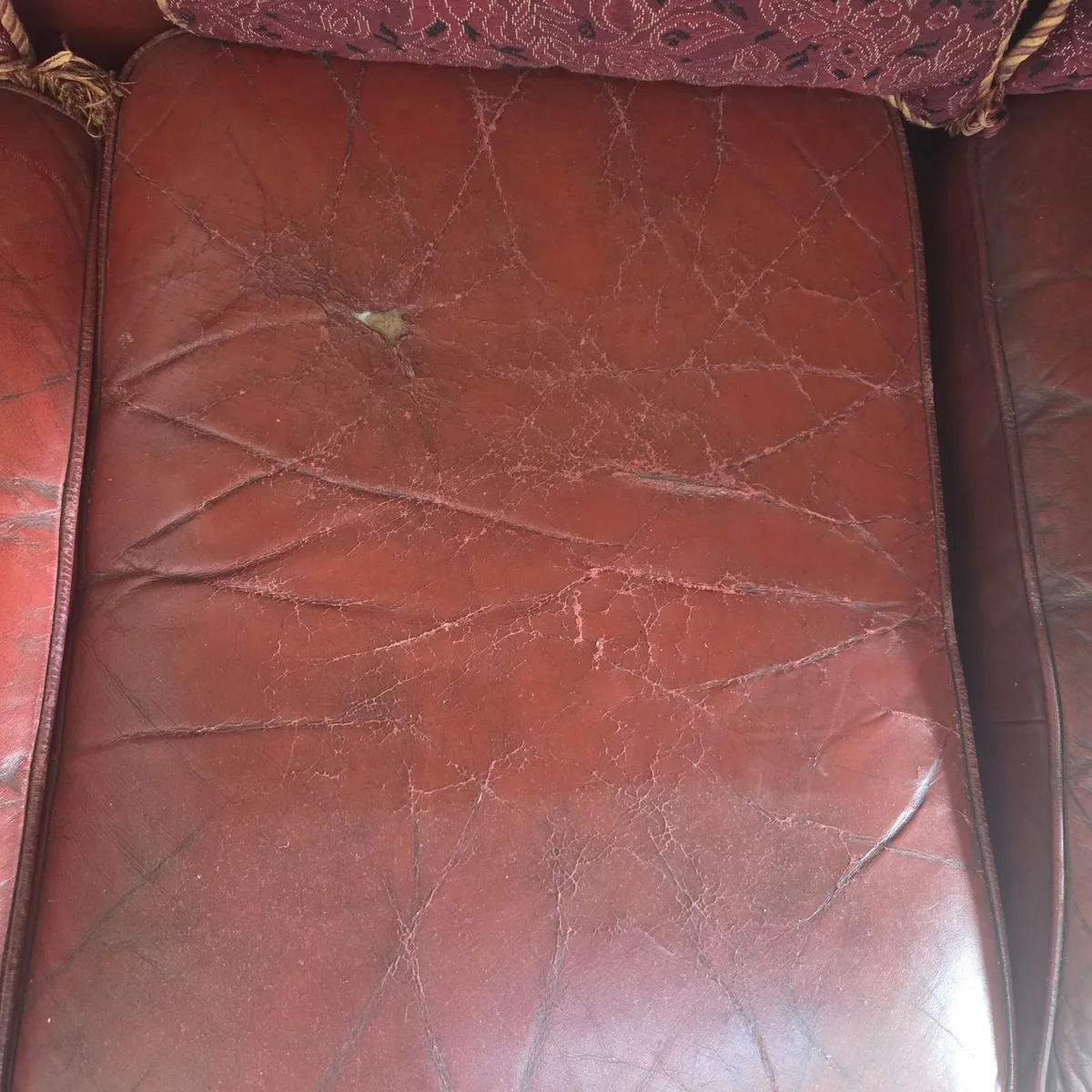 Chesterfield suite 3 seater + single seater - Image 2