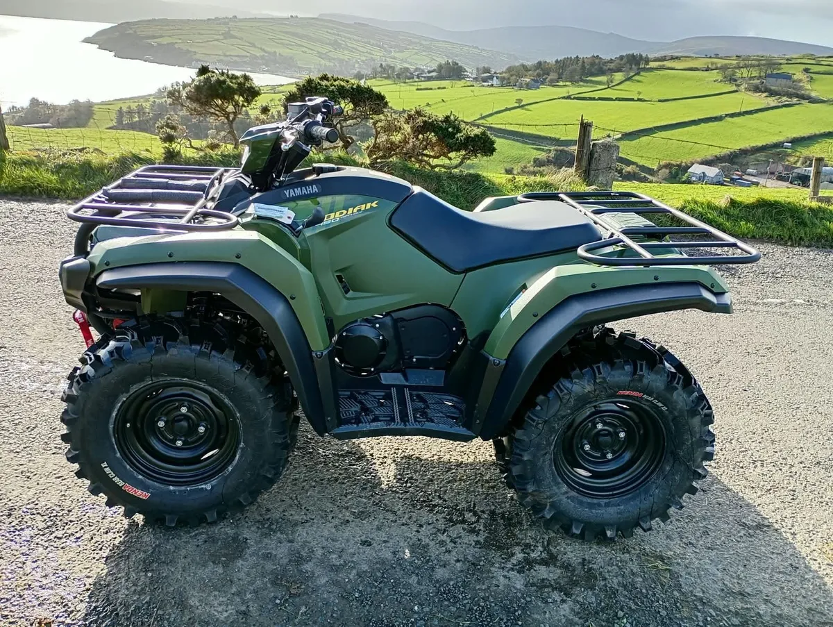 Yamaha Kodiak 450 - Image 3